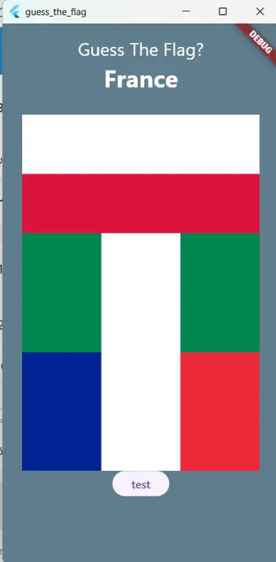 guess the flag