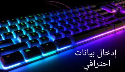 إدخال بيانات