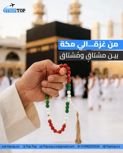 تصميم ديزين لى شركة سياحه فلسطينيه