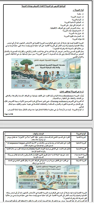 تنسيق ملفات وورد بطريقه احترافيه
