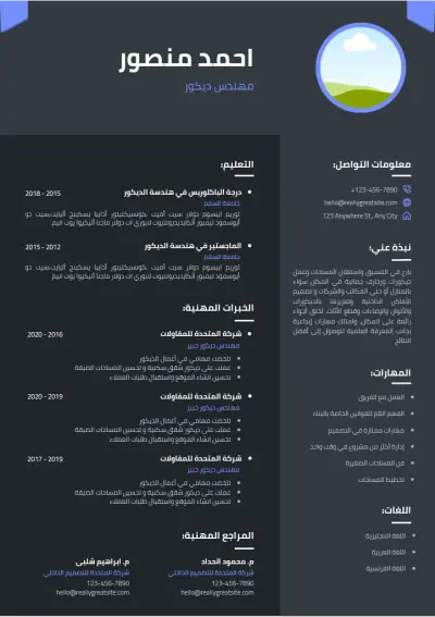 سيرة ذاتية احترافية