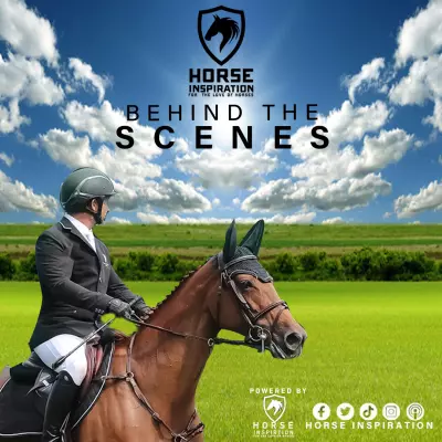 تصميم اعلاني