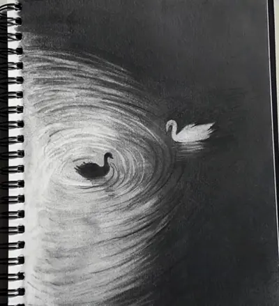منتاج الفيديو