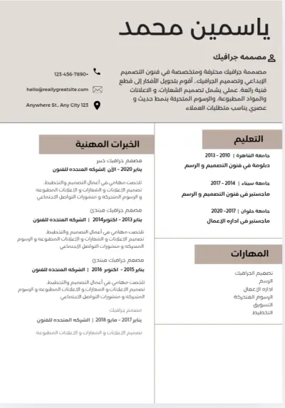 تصميم سيرة ذاتية (CV) احترافية.