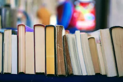 ترجمة احترافيه بشرية