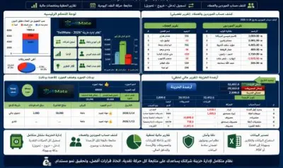 Treasury & Financial Tracking System