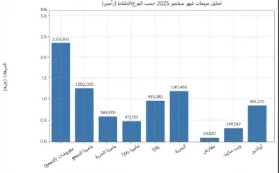 تقرير الإيرادات الشهريه لمجموعه سلاسل الفروع لاحدي الانشطه