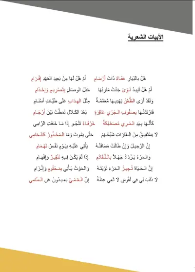 تنسيق وصياغة محتوى تعليمي وأدبي (دراسة نقدية وبلاغية)