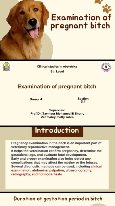 عرض تقديمي لطلاب كليه الطب البيطري