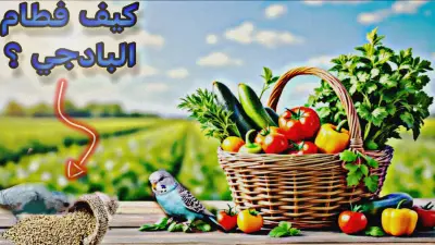 تصميم صورة مصغرة احترافية ، تصميم شعار عصري