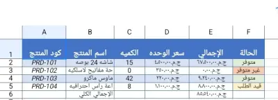 نموذج إدخال بيانات وتنسيق جداول Excel احترافي