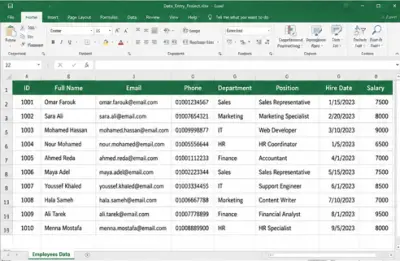 Data Entry باستخدام Excel