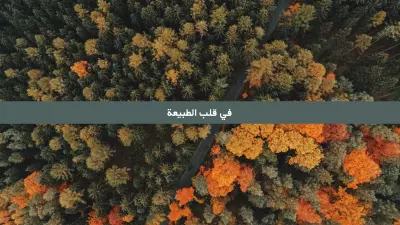 مصمم شعار قناة يوتيوب