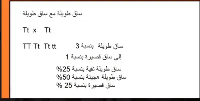 فيديوهات للطلاب