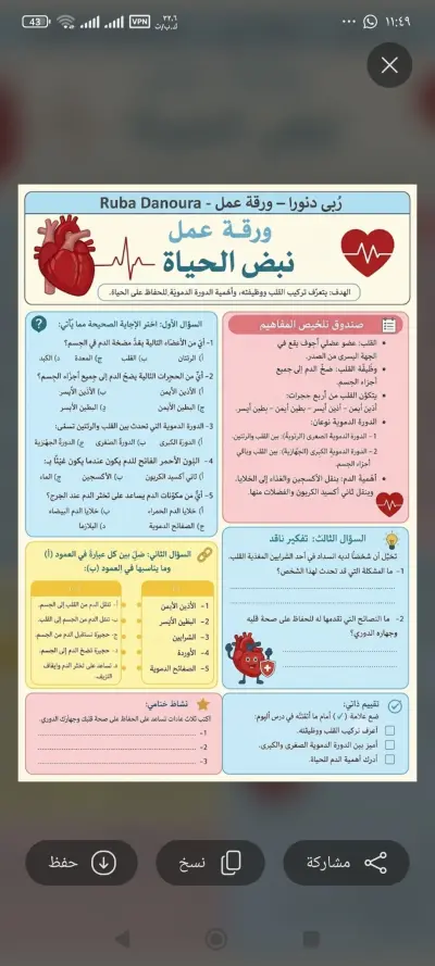 ورقه عمل علوم