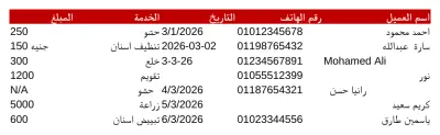 إدخال بيانات وتنظيم ملفات Excel
