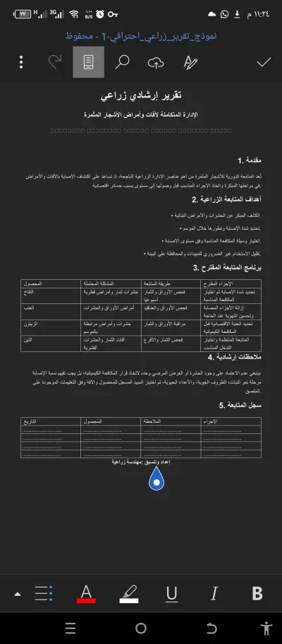 تنسيق وإعداد ملف Word بشكل احترافي