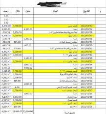 تفريغ 500 سجل من PDF الى Excel بدقة 100%