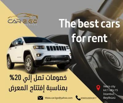 سوشيال ميديا