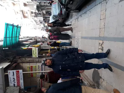 كتابة مقالات وترجمة