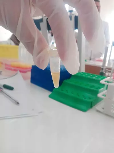 l’extraction d'ADN