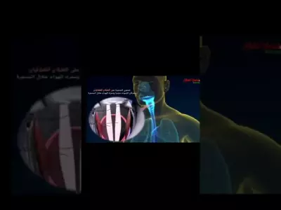 المدينة المهجوره