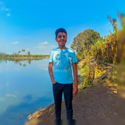 العمل علي كتابه المقلات والترجمه