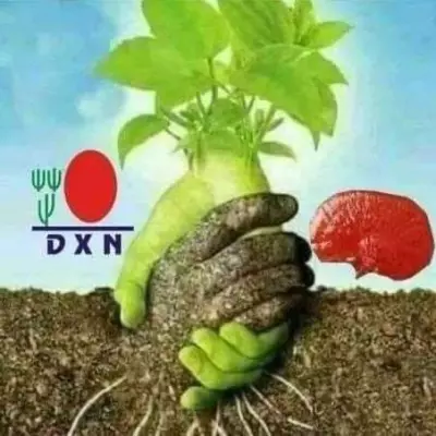 عبر العالم