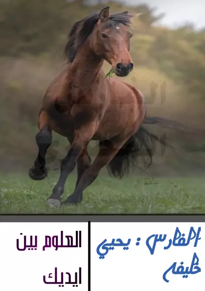تصاميم ولوجو احترافي
