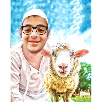 تصميم وضبط صور