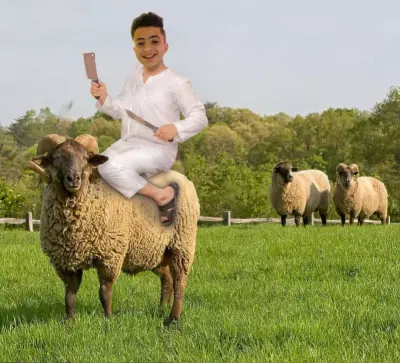 تصميم وضبط صور