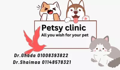 بزنس كارت موكاب