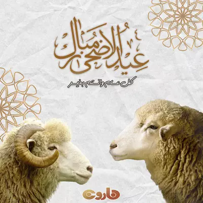 تصميمات سوشيال ميديا متنوعه