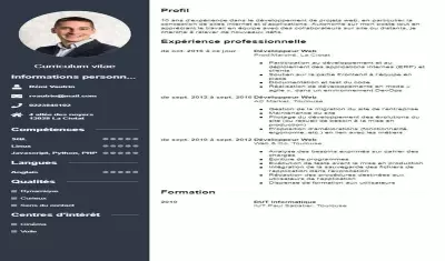 I present to you the service of making your own CV