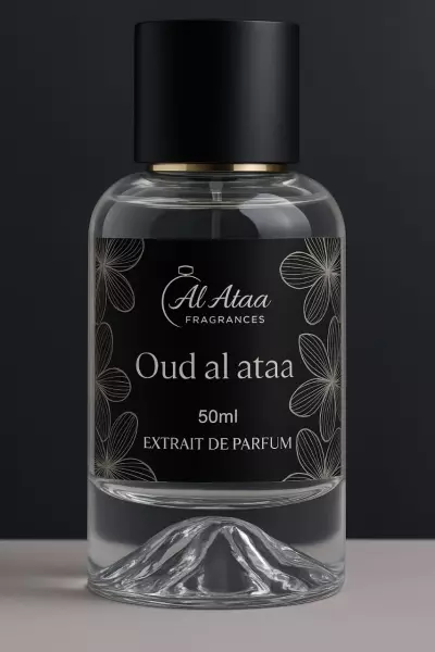 تصميم لوجو وهوية بصرية