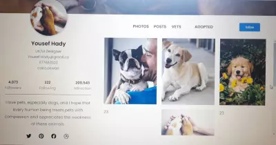 User profile