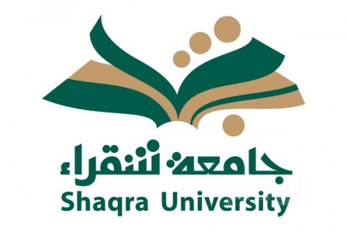 موشن جرافيك