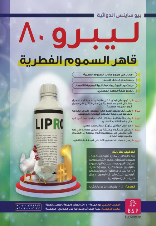 تصميم الفلايرات