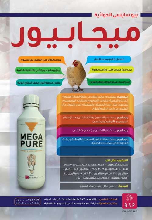 تصميم الفلايرات