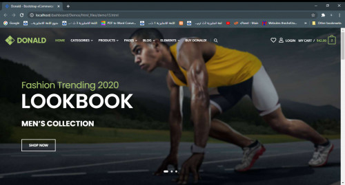 Ecommerce Templates