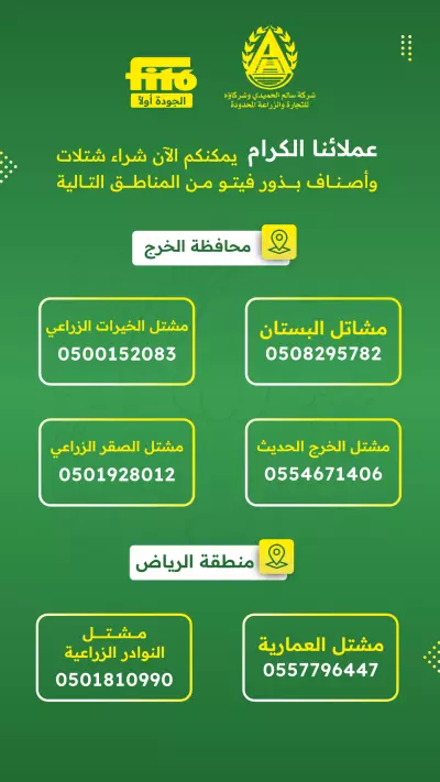 تصاميم السوشيال ميديا