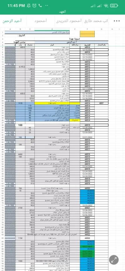 التحليل المالي باستخدام ERP Systems