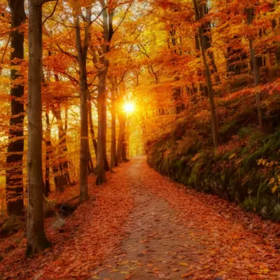 تصميم صور ai لنص