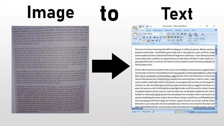 تحويل الصور الي نص word
