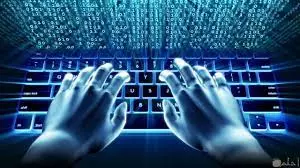ادخال البيانات وتنظيمها وترتيبها