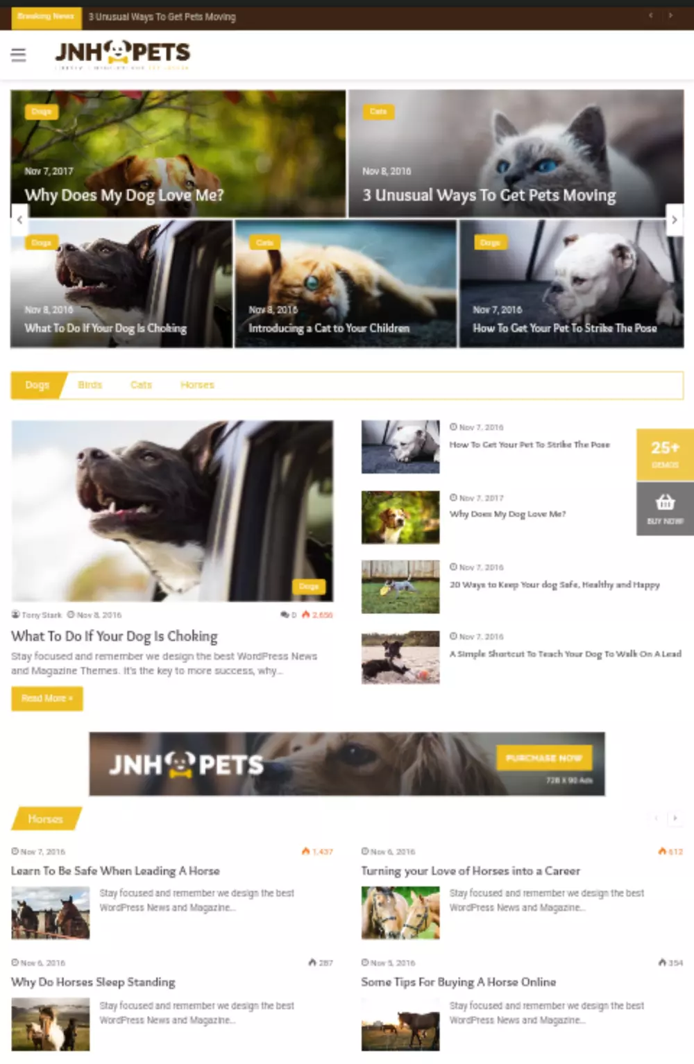 بيع قالب جنة الاصدار 6 للووردبريس