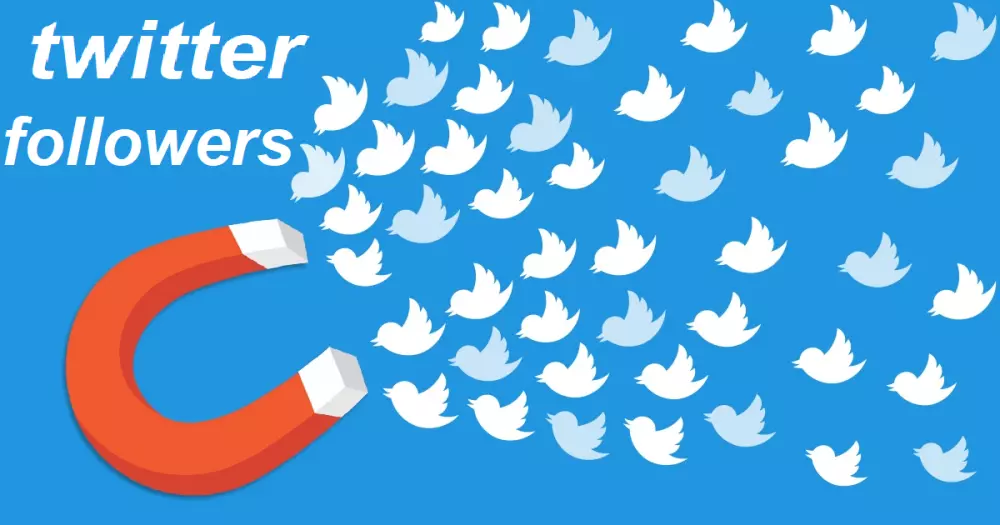 متابعين تويتر بعد التحديث الجديد