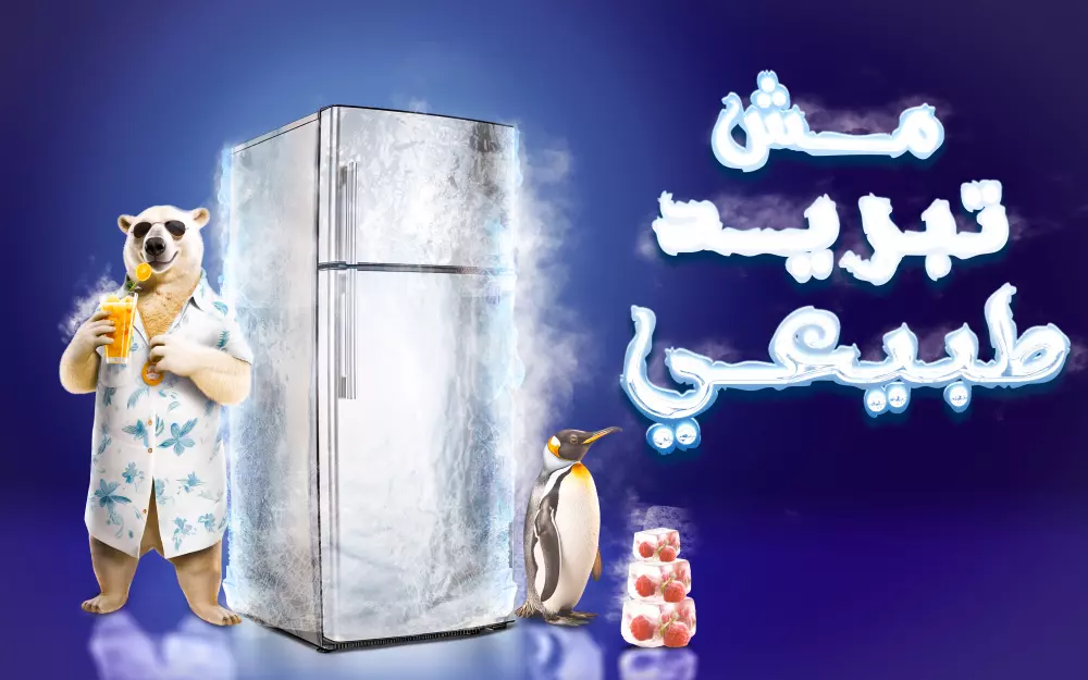 تصاميم سوشال ميديا والتصميمات المطبوعة