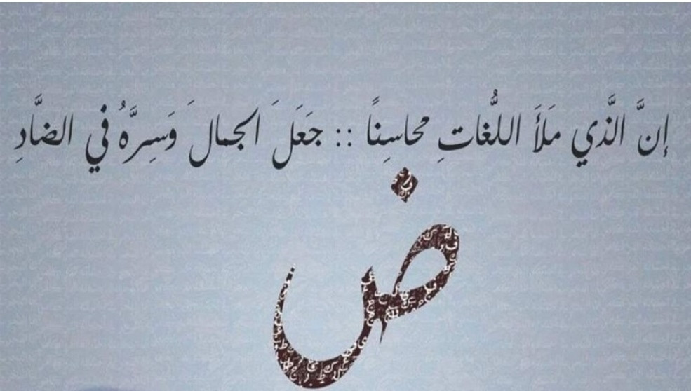 تدقيق لغوي وإملائي احترافي