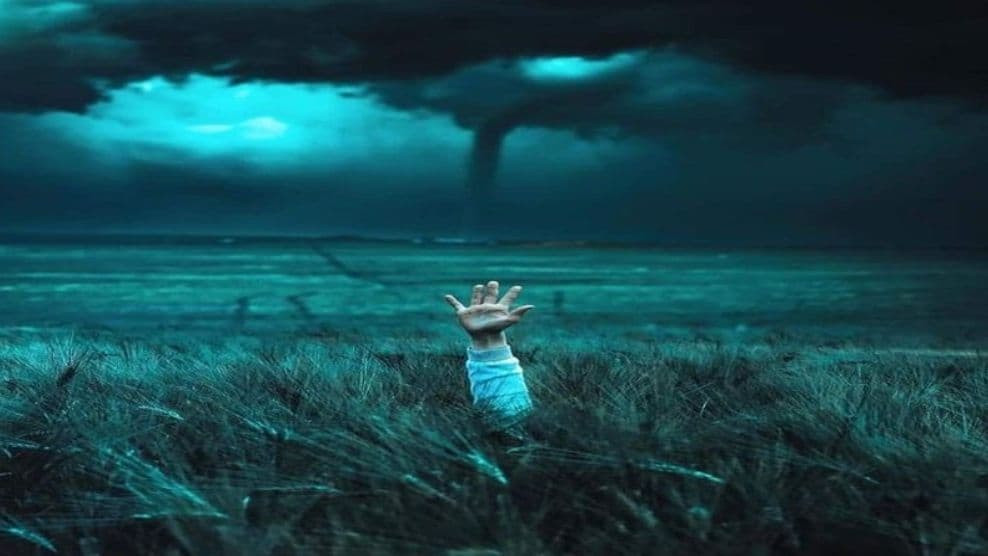 استشارة نفسية أو اجتماعية